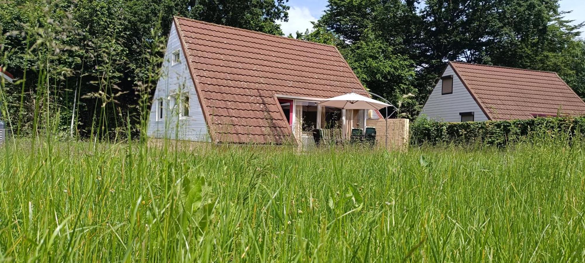 6-Pers Vakantiebungalow In Het Heuvelland 辛佩尔费尔德 外观 照片